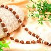 3 Mukhi Rudraksha Mahajwala Mala - White Spacer