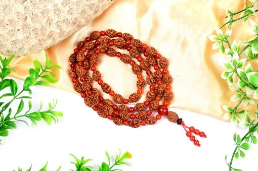 3 Mukhi Mahajwala Mala - Carnelian To releases stress and feeling of victimization