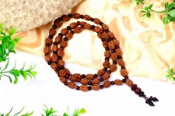 3 Mukhi Mahajwala Mala - Red Sandalwood To releases stress and feeling of victimization