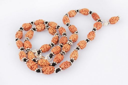 2 Mukhi Rudraksha Moon Mala - Silver Chakri