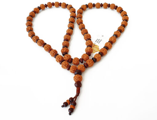 5 Mukhi Brahma Guru Mala with Red Sandalwood to Improves health, vitality and immunity