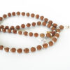 5 Mukhi Brahma Guru Mala - White Spacer For enhances awareness and concentration