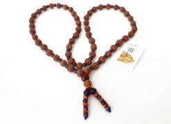 5 Mukhi Brahma Guru Mala with Amethyst to Improves health, vitality and immunity