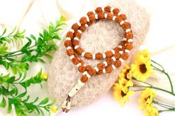 5 Mukhi Brahma Guru Mala - White Spacer For enhances awareness and concentration