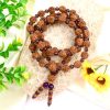 5 Mukhi Brahma Guru Mala with Amethyst to Improves health, vitality and immunity