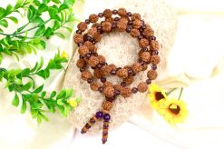 5 Mukhi Brahma Guru Mala with Amethyst to Improves health, vitality and immunity