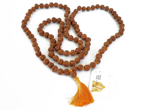 6 Mukhi Mars Mala