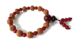 6 Mukhi Rudraksha Mars Bracelet - Red Agate - For eliminating lethargy and provides the will power courage to face challenges