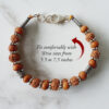 6 Mukhi Rudraksha Mars Double Turn Bracelet - Sandalwood in Silver Chakri