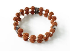 6 Mukhi Rudraksha Mars Double Turn Bracelet - Silver