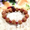 6 Mukhi Rudraksha Mars Bracelet - Red Agate - For eliminating lethargy and provides the will power courage to face challenges