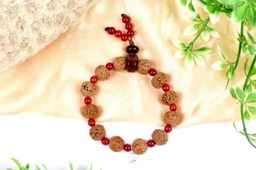 6 Mukhi Rudraksha Mars Bracelet - Red Agate - For eliminating lethargy and provides the will power courage to face challenges