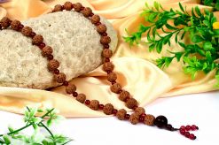 6 Mukhi Mars Mala - Red Agate To eliminating lethargy