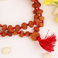 11 Mukhi Ekadash Mala