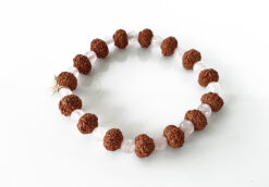 7 Mukhi Rudraksha Mahalaxmi Bracelet - Rose Quartz To bestows abundance