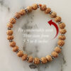 7 Mukhi Rudraksha Mahalaxmi Bracelet - To liberate miseries and bestows abundance