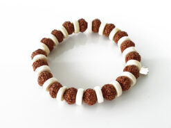 7 Mukhi Rudraksha Mahalaxmi Bracelet - White Spacer For success and wealth