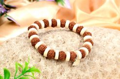 7 Mukhi Rudraksha Mahalaxmi Bracelet - White Spacer For success and wealth