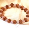 7 Mukhi Rudraksha Mahalaxmi Bracelet - Rose Quartz To bestows abundance