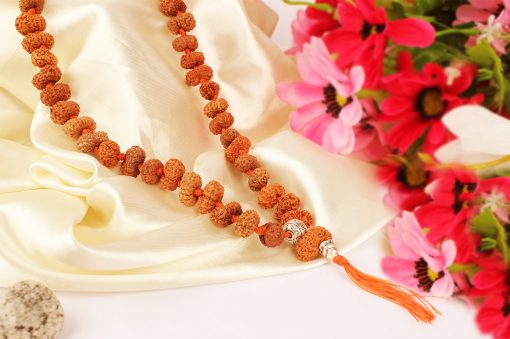 14 Mukhi Hanuman Mala - Collector