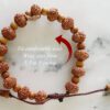 8 Mukhi Rudraksha Ganesha Bracelet with Sandalwood to achieve stability and strength to overcome all hurdles