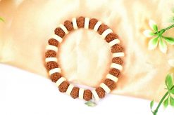 8 Mukhi Rudraksha Ganesha Bracelet - White Spacer For removal of obstacles and achieving success in all undertakings