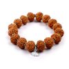 8 Mukhi Rudraksha Ganesha Bracelet - Silver Chakri To destroy evils and brings success