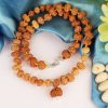 12 Mukhi Surya Radiance Mala