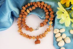 12 Mukhi Surya Radiance Mala