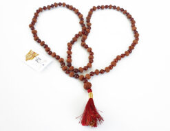 9 Mukhi Durga Mala with Gomed to protects from negative energies including ghosts, induce fearlessness and courage