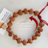 9 Mukhi Rudraksha Durga Bracelet for elevate consciousness and to walk on the path of liberation