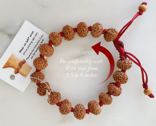 9 Mukhi Rudraksha Durga Bracelet for elevate consciousness and to walk on the path of liberation