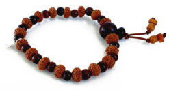 9 Mukhi Rudraksha Durga Bracelet with Red Sandalwood to brings name, fame, success and material comforts