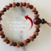 9 Mukhi Rudraksha Durga Bracelet with Red Sandalwood to brings name, fame, success and material comforts