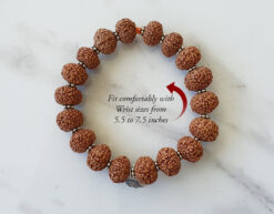 9 Mukhi Rudraksha Durga Shakti Bracelet - Silver Chakri for knowledge and abundance