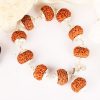 8 Mukhi Rudraksha Ganesha Bracelet - Collector