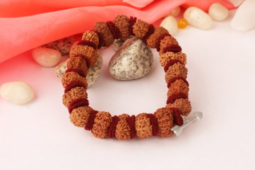 13 Mukhi Rudraksha Kamadeva Bracelet - Woolen