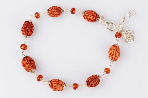 3 Mukhi with Gomed bracelet in silver caps - For accumulation of wealth and happiness