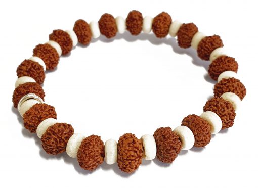 The 10 Mukhi Rudraksha drives away negative energies and releases fear