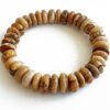 Picture Jasper Bracelet to protects you physically and spiritually