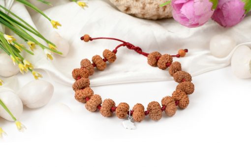 12 Mukhi Rudraksha Surya Bracelet - Silk Thread