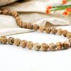 Picture Jasper Necklace