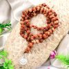 12 Mukhi Ruraksha Surya Radiance Mala - I