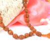 3 Mukhi Rudraksha Mahajwala Mala for released from past memories of hurt, shame, anger and low self esteem