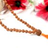 6 Mukhi Mars Necklace for eliminating lethargy, increase stamina and provides the will power courage to face challenges (Copy)