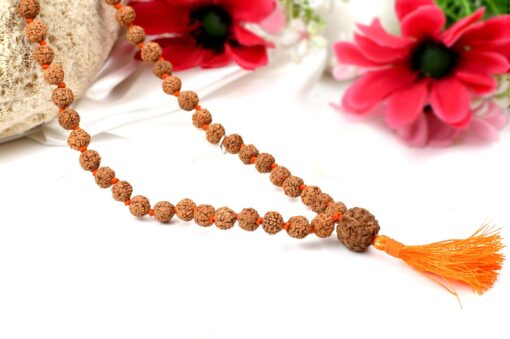 6 Mukhi Mars Necklace for eliminating lethargy, increase stamina and provides the will power courage to face challenges (Copy)