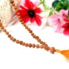 Rare 7 Mukhi Mahalaxmi Mala to liberate from miseries and bestows abundance