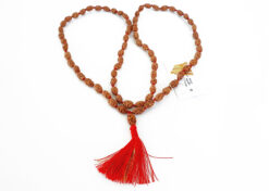 2 Mukhi Rudraksha Moon Mala to brings inner bliss and promotes harmony