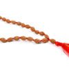 2 Mukhi Rudraksha Moon Mala to brings inner bliss and promotes harmony