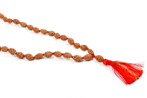 2 Mukhi Rudraksha Moon Mala to brings inner bliss and promotes harmony